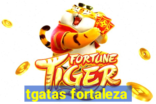 tgatas fortaleza